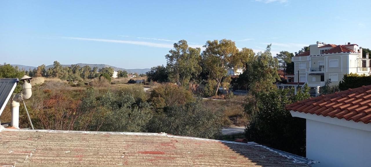 Elizas House Villa Nea Makri Exterior photo